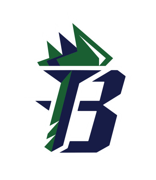 Beamer Titans Football Logo